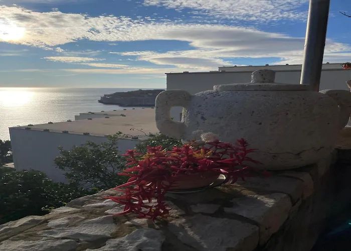 Amazing View
