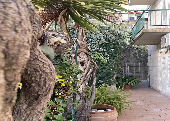 Amazing View Appartement