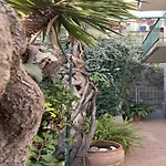 Amazing View Apartman