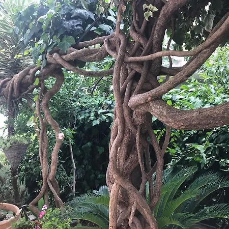 Διαμέρισμα Amazing View