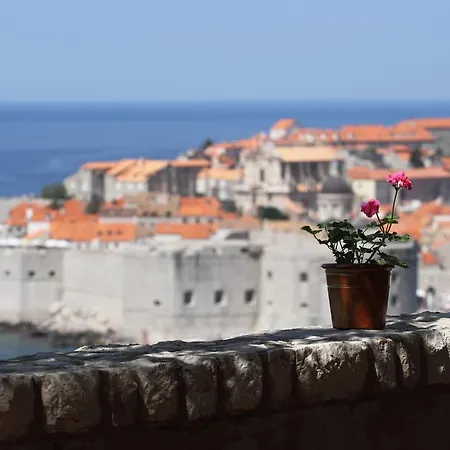 Διαμέρισμα Amazing View *